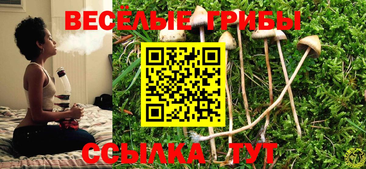Анжеро-Судженск  Псилоцибиновые грибы Magic Shrooms  Вход с VPN 