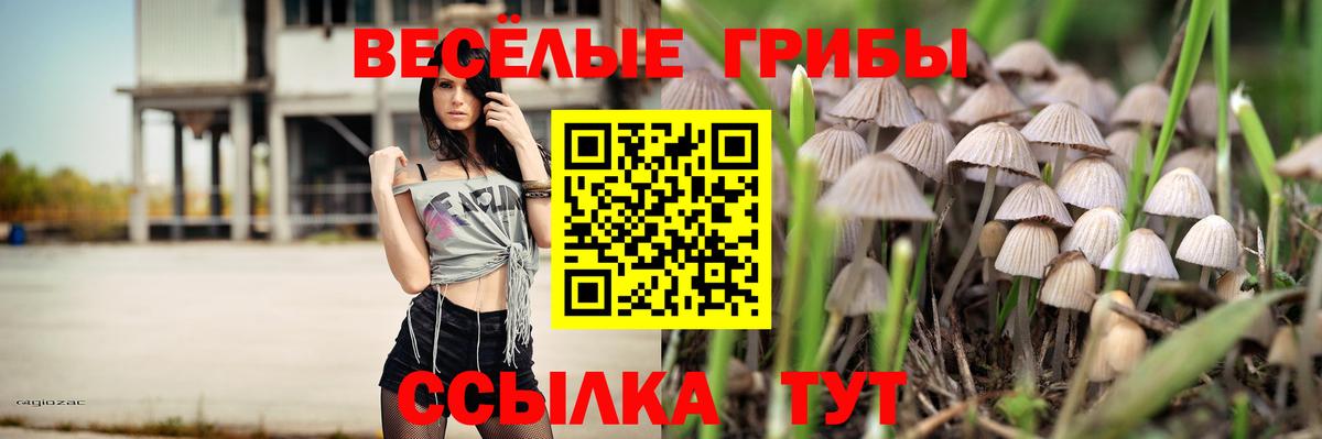 Галлюциногенные грибы ЛСД Анжеро-Судженск